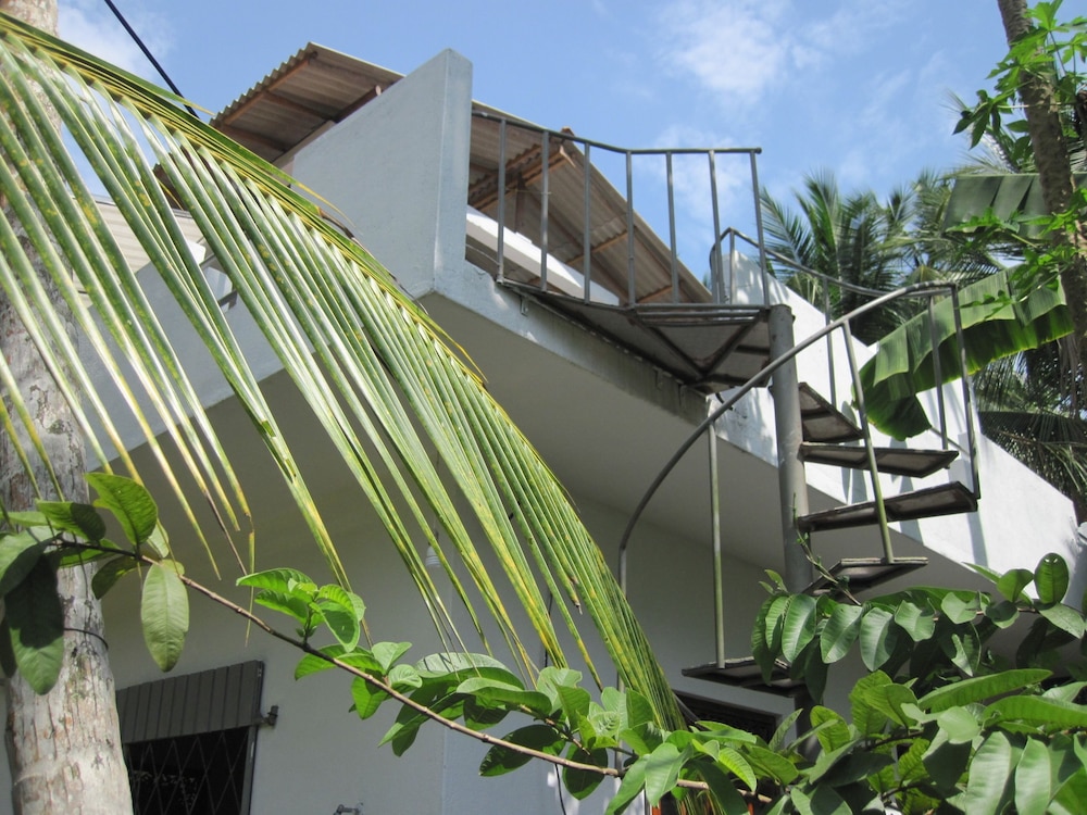 Jungleside House