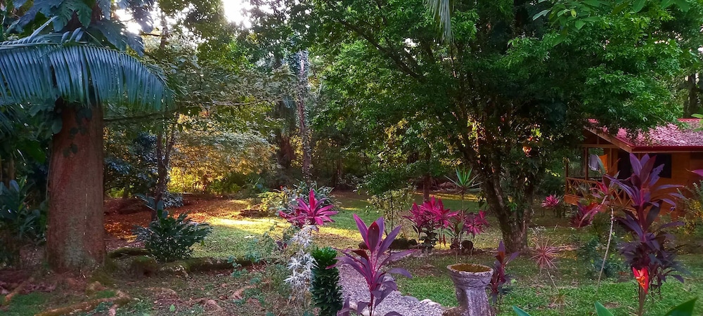 Cabinas Costa Tropicana
