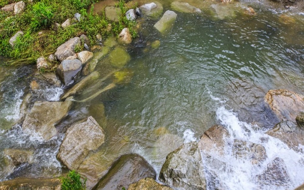 Photo 38