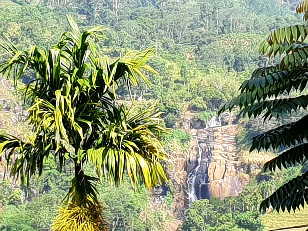 Adannz view