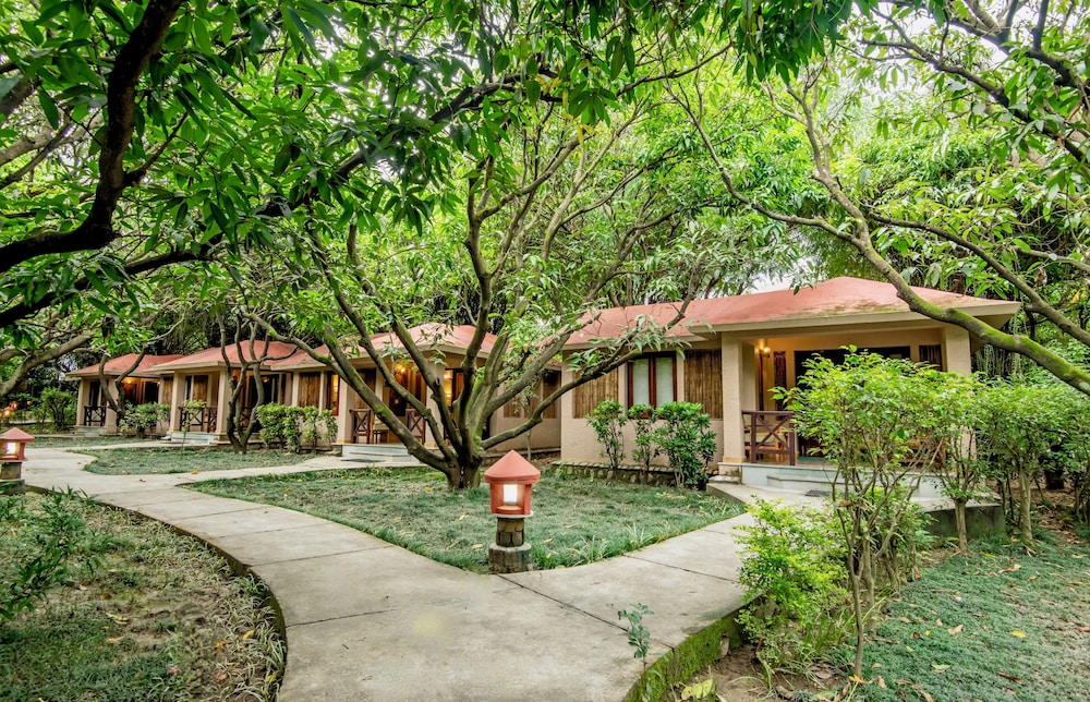 Tiger Camp Resort River Access