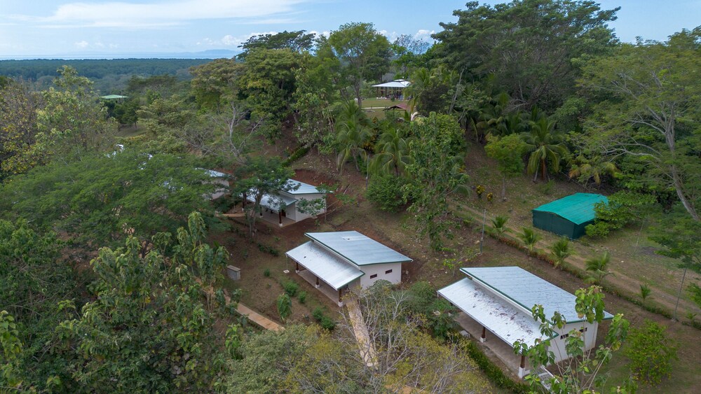 Tarcoles Birding Lodge