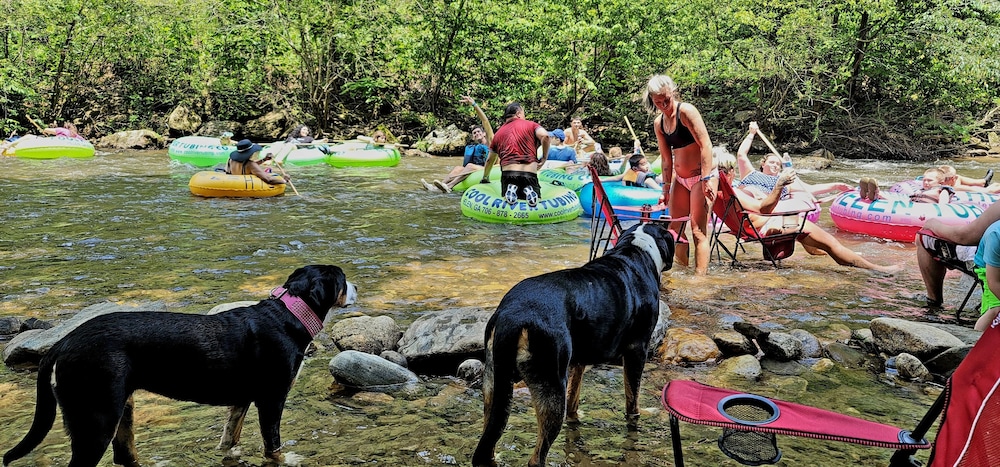 Bear Creek Lodge and Cabins in Helen Ga - Pet Friendly, River on Property, Walking Distance to downtown Helen
