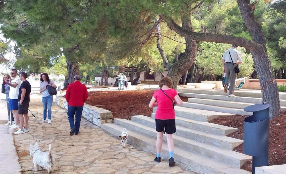Photo 44