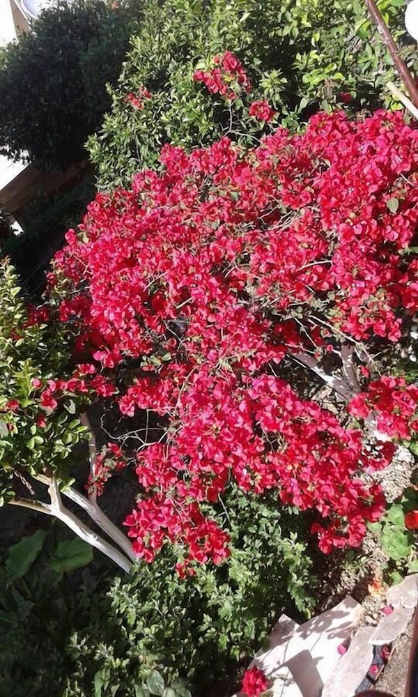 Photo 47