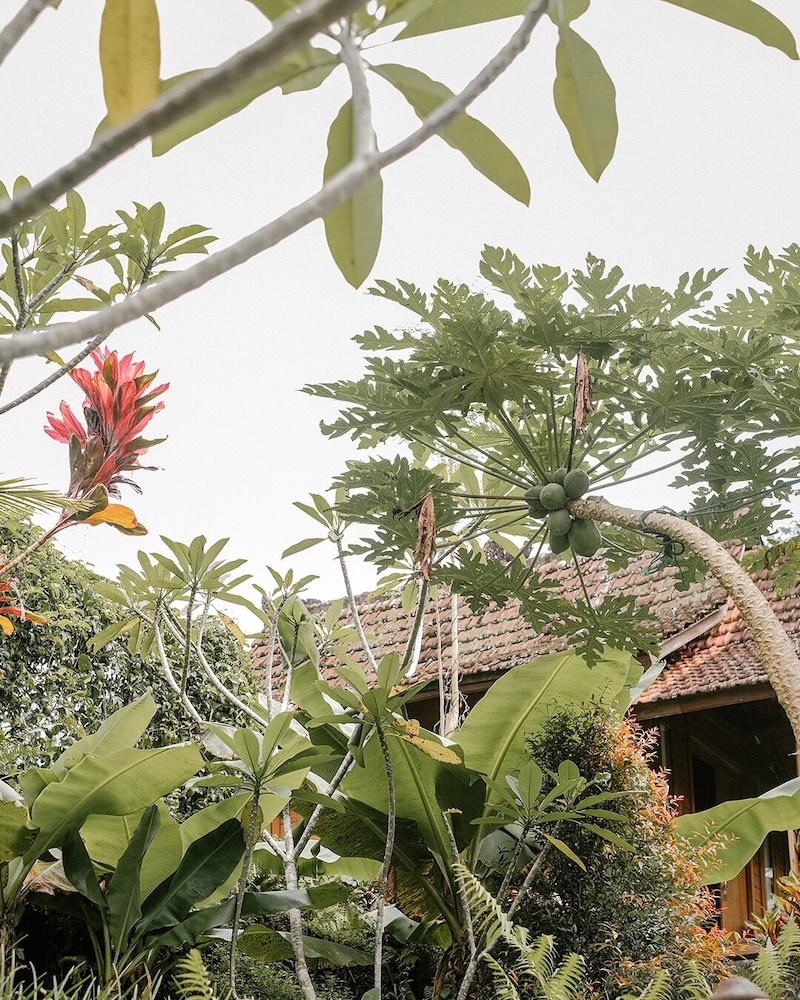 Song Broek Jungle Resort