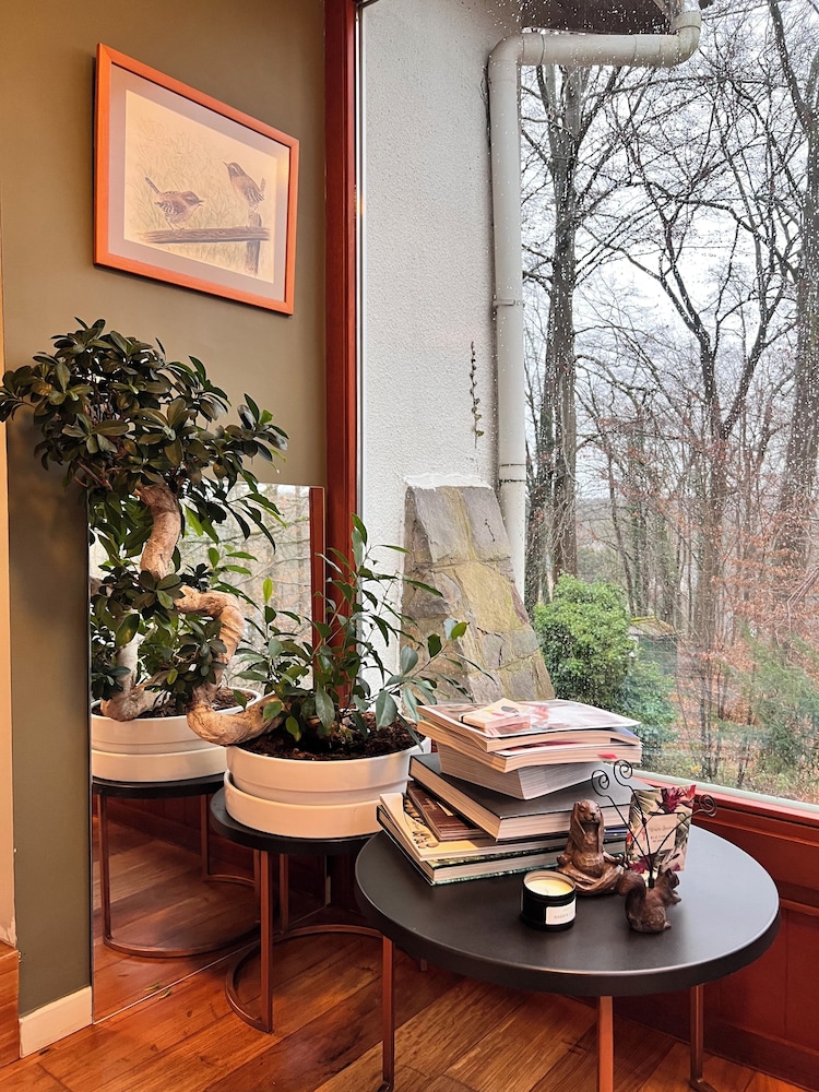 Charming Studio the Heart of the Forest