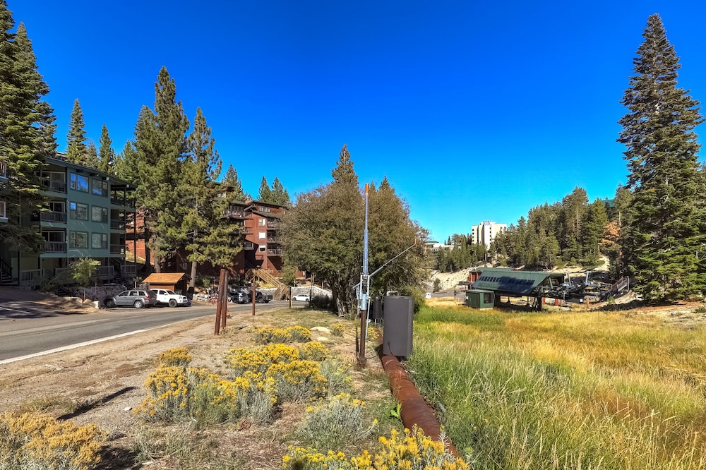Ski In, Ski Out! 3 BDR Steps From Stagecoach Lift view 3
