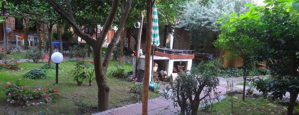 Photo 19