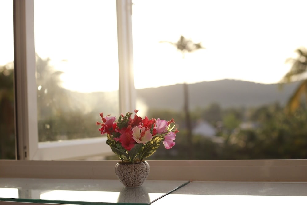 Purple Place Homestay - Hostel view 3