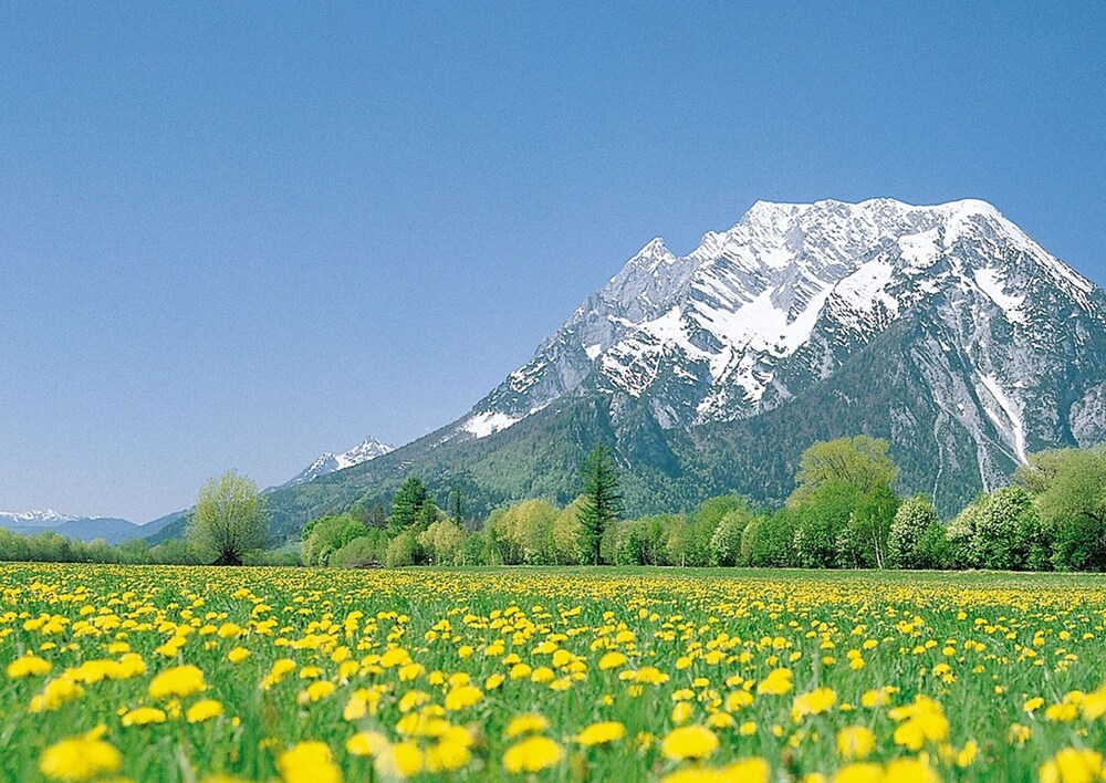 Photo 30