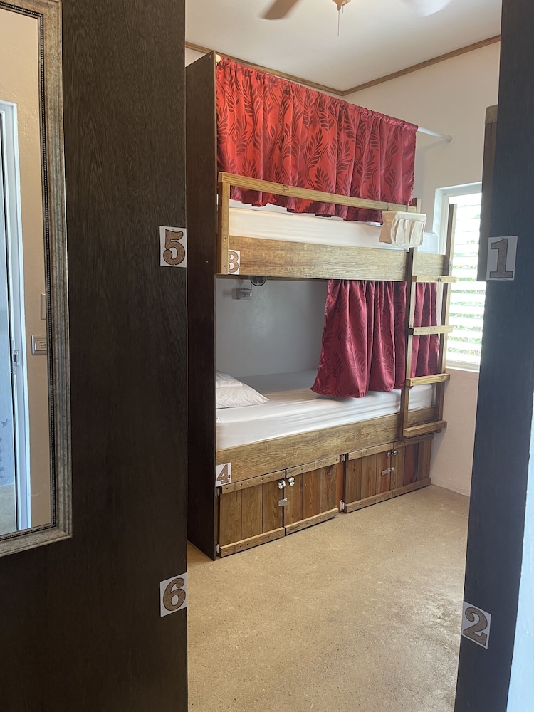 Royal Rat Hostel view 3