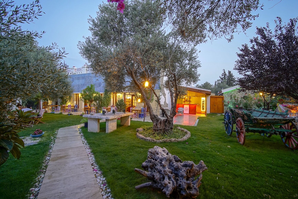 Olive Farm Of Datca