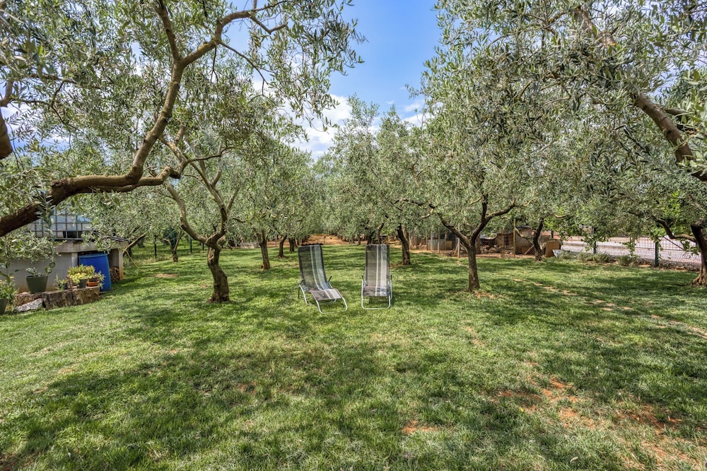 Casa Oliva Kim Marie