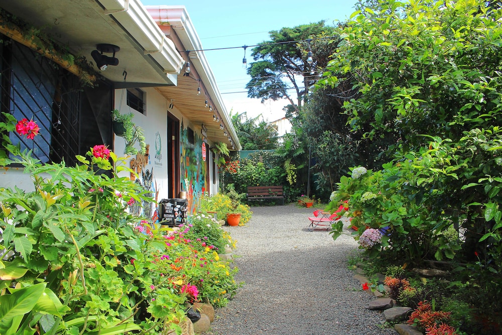 Casa Jungle Monteverde Bed & Breakfast