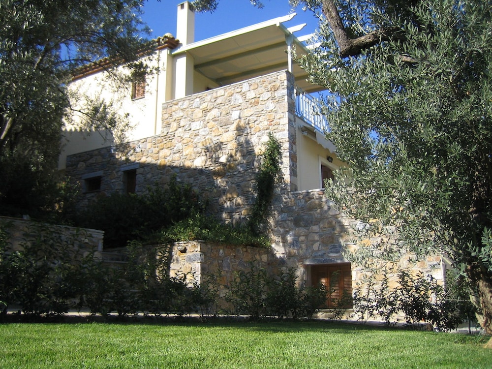 Gera's Olive Grove view 3