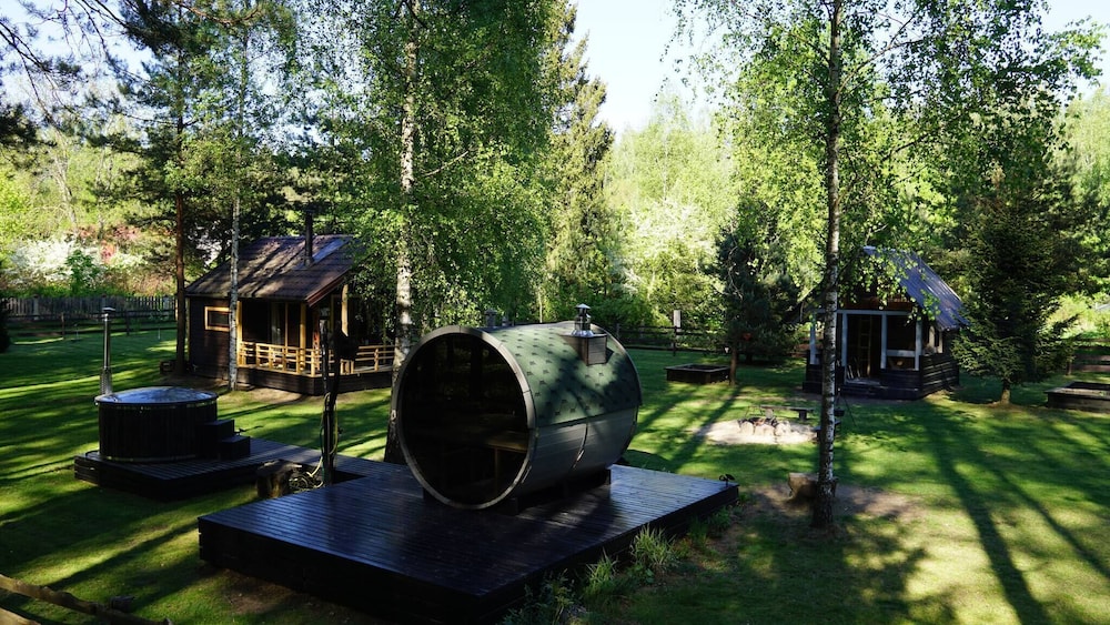 Metai Miške&a Year in the Forest
