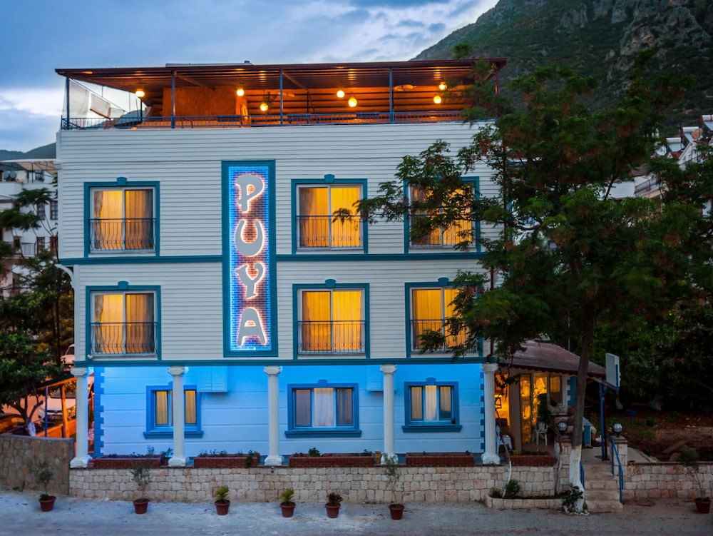 Hotel Puya