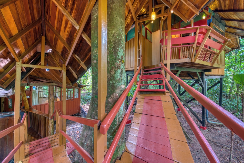 Tree House Beachfront Lodge