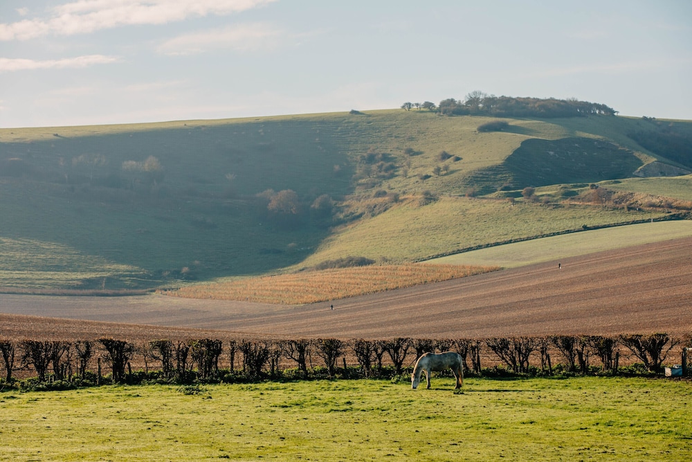 The Ram Inn view 5