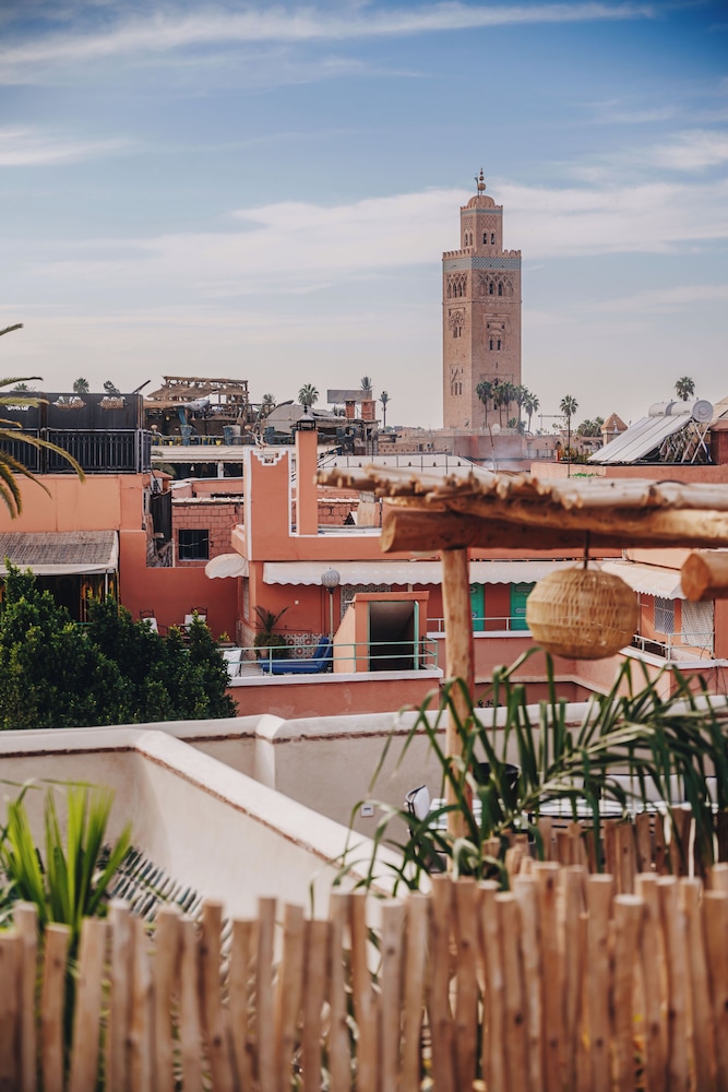 Nobu Riad
