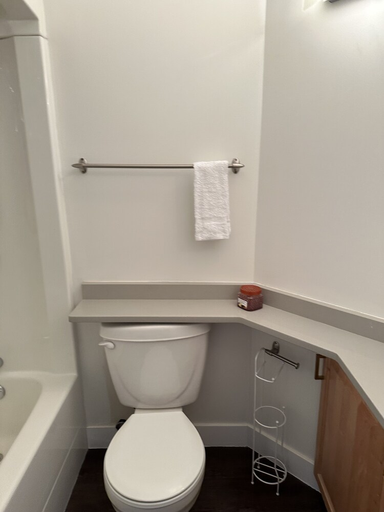 LUXURY DOWNTOWN CONDO TWO BEDROOM