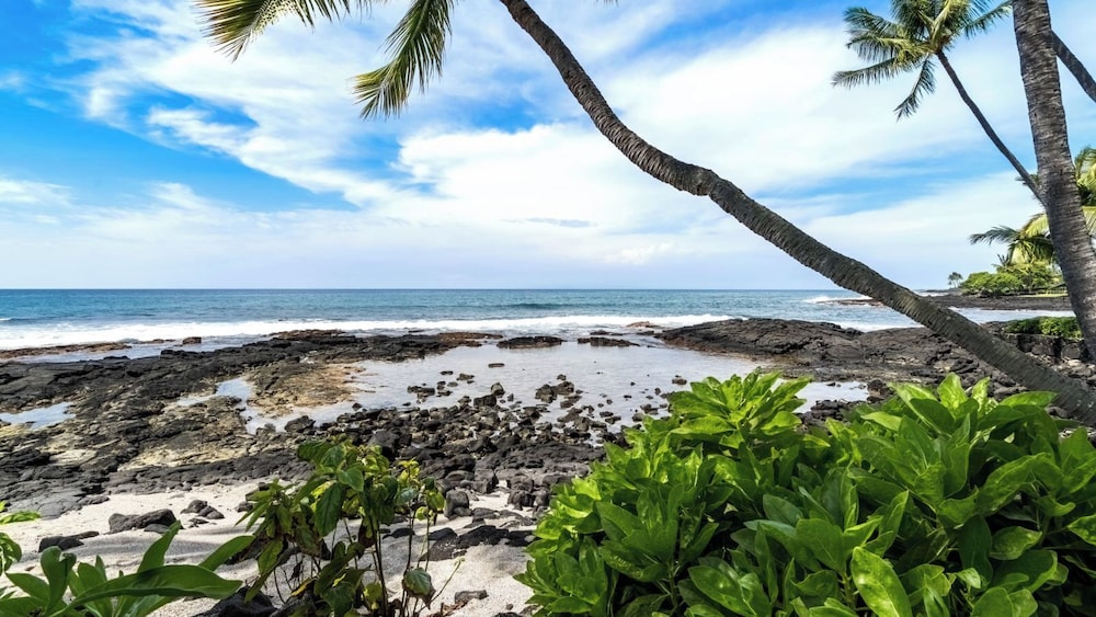Direct Ocean Front - Close to Town - AC - Upper Floor- Vrkcv