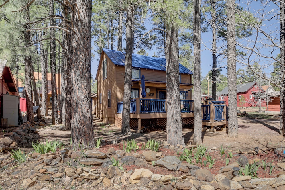 Nearby Hiking: Pet-friendly Cabin in Mormon Lake view 3