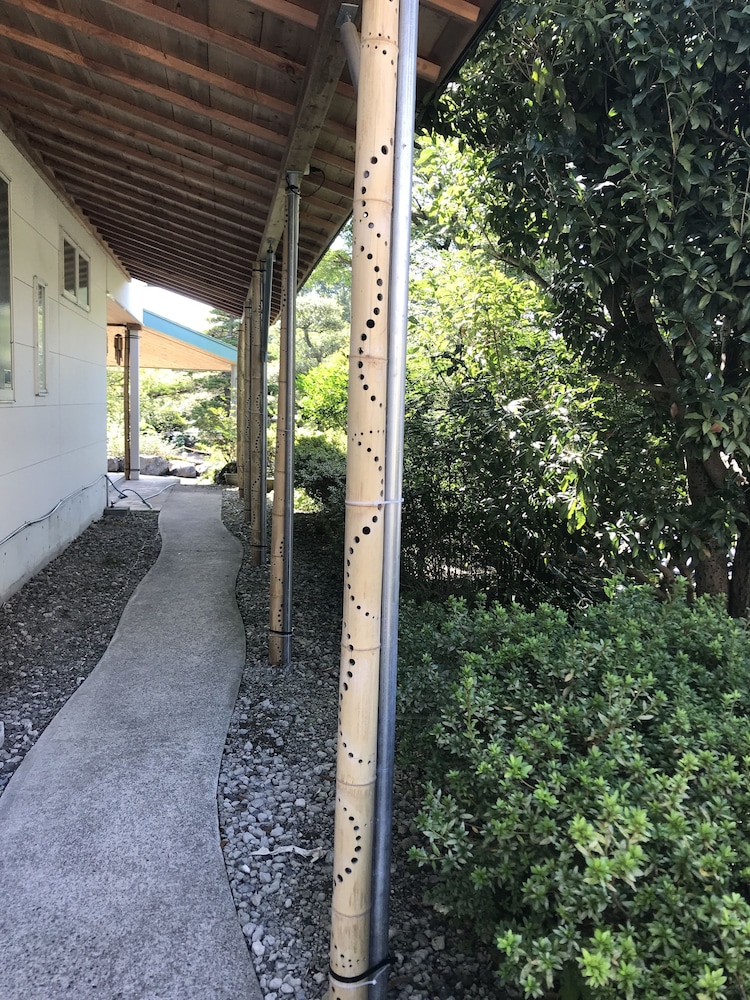 Photo 26