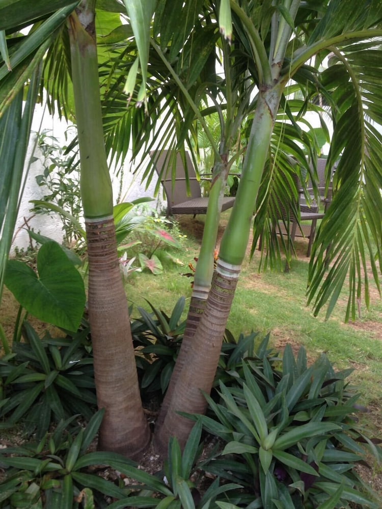 Ca' del Sol Condo Hotel