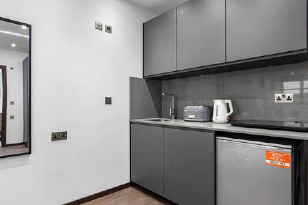 Modern Spacious Suite Sleeps 4 in Central London
