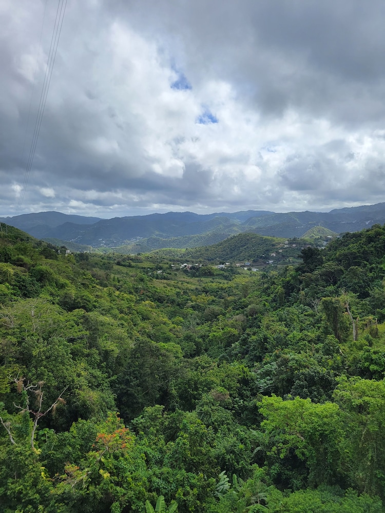 Villa Gringo Farms - Property Image 10