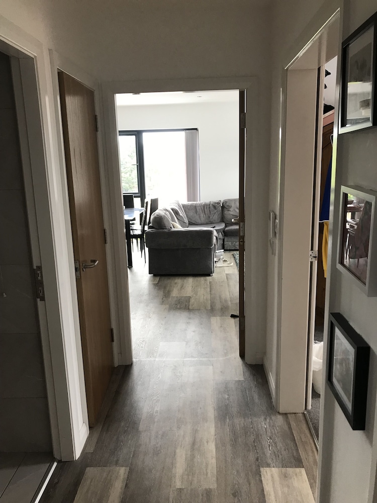 Impeccable two Bedroom Apartment in South Belfast view 3