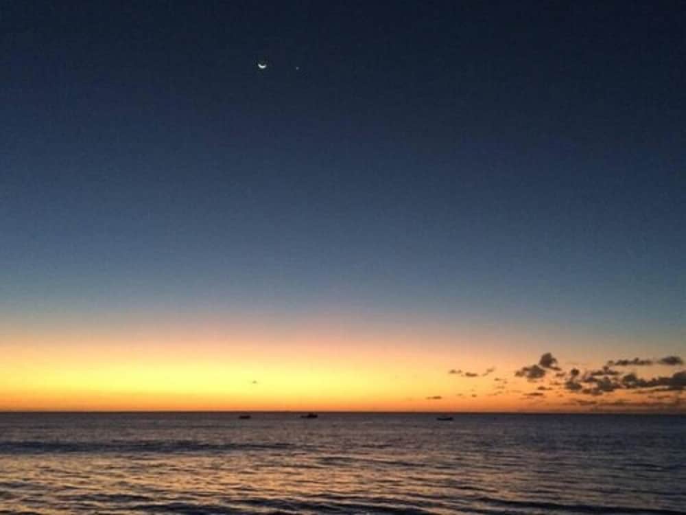 Sunset Oasis
