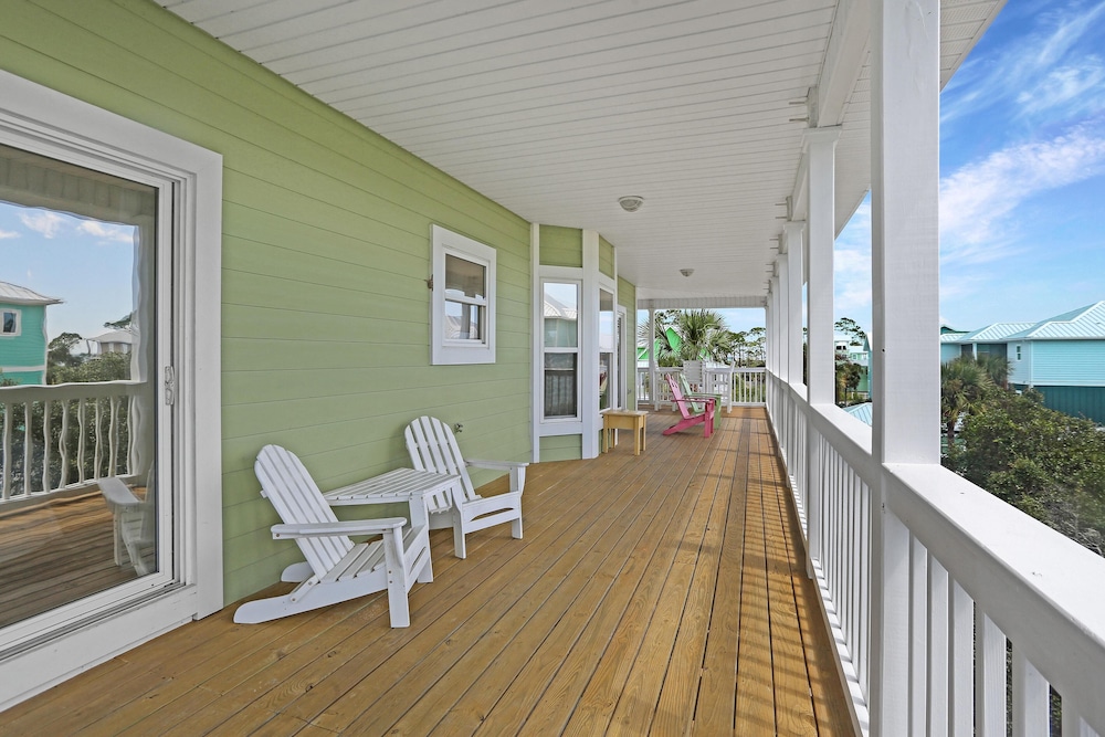 Cape Palms