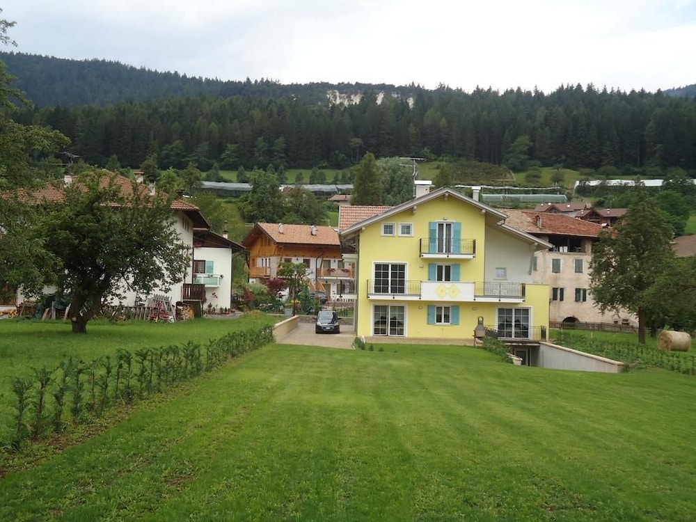 Photo 42