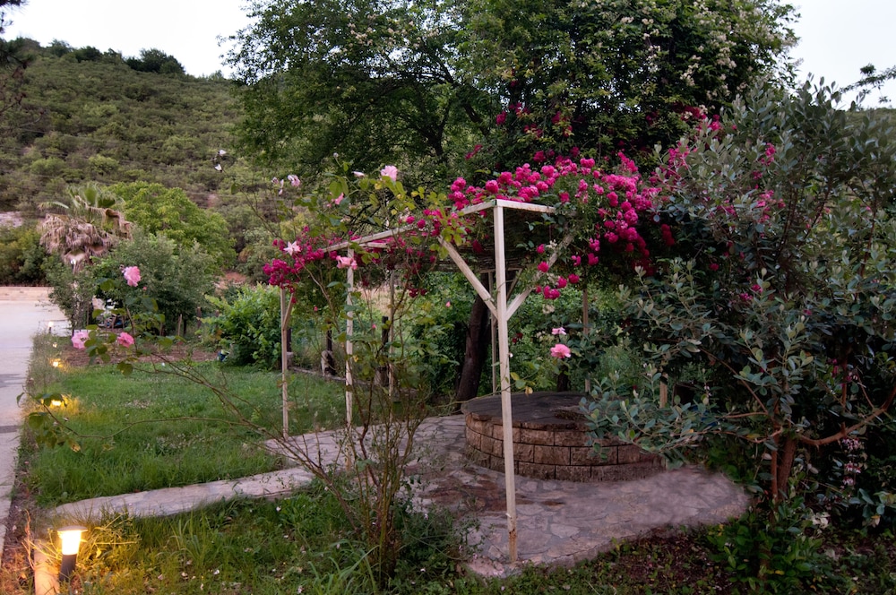 Agva Nehir Evi Butik Hotel - Property Image 2