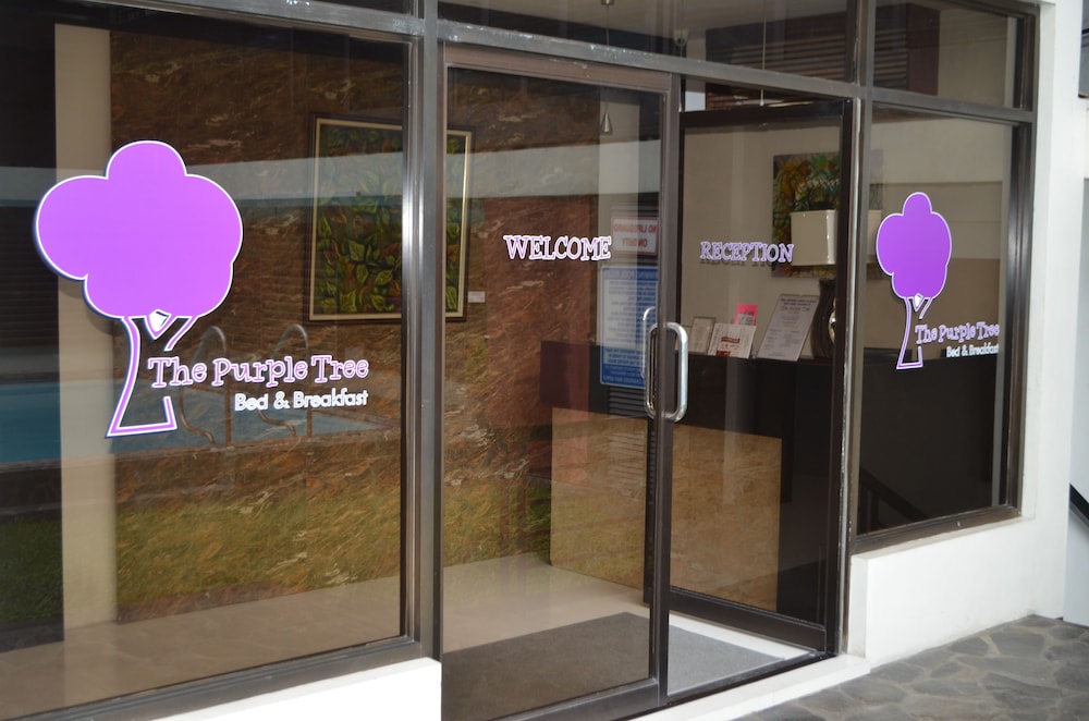 The Purple Tree Bed & Breakfast