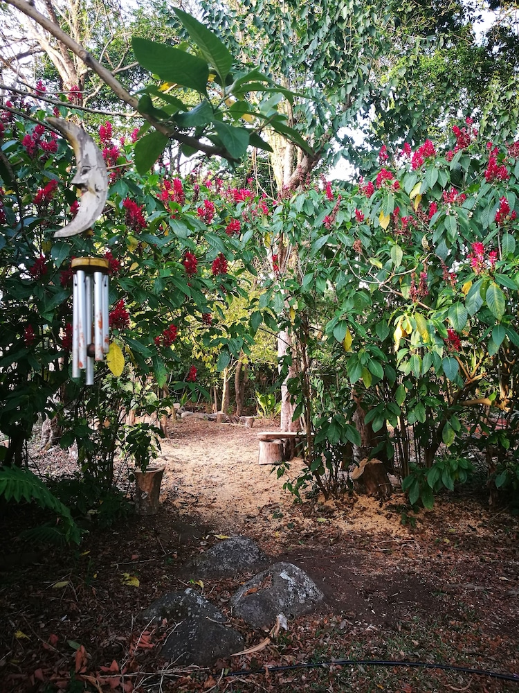 Agutipaca B&B