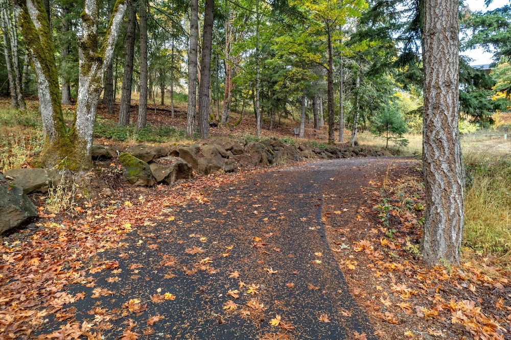 Evergreen Retreat Ab 30 Night Minimum 4 Bedroom Home