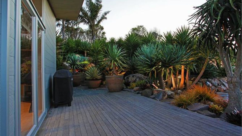 Nikau Apartment 1 view 2