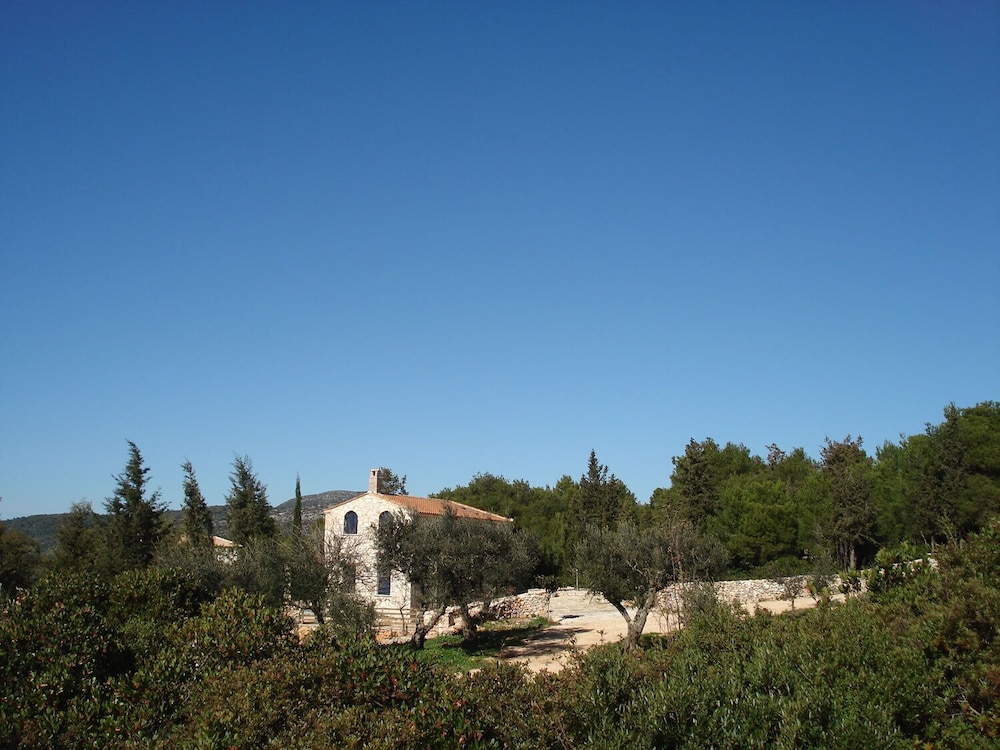Photo 44