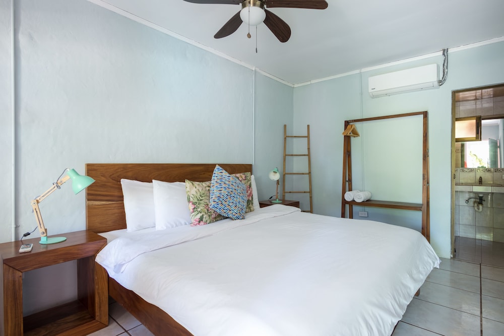 Selina Jaco - Hostel
