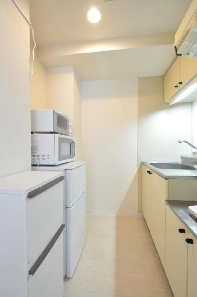 IK Minami6Jo Residence 201 view 5