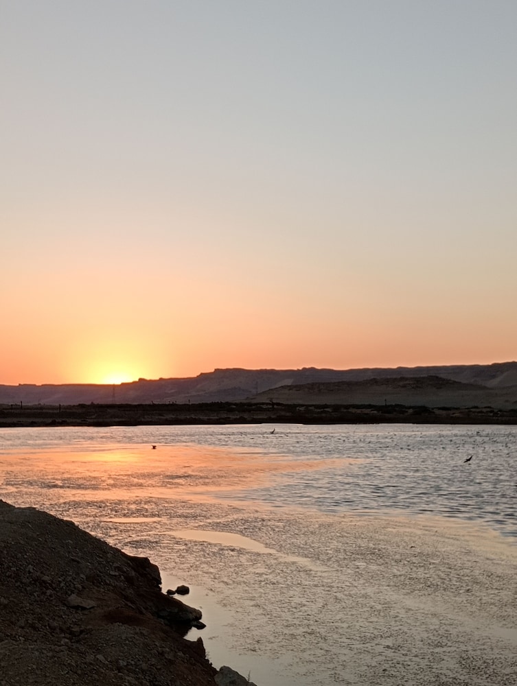 Flamingo Camp