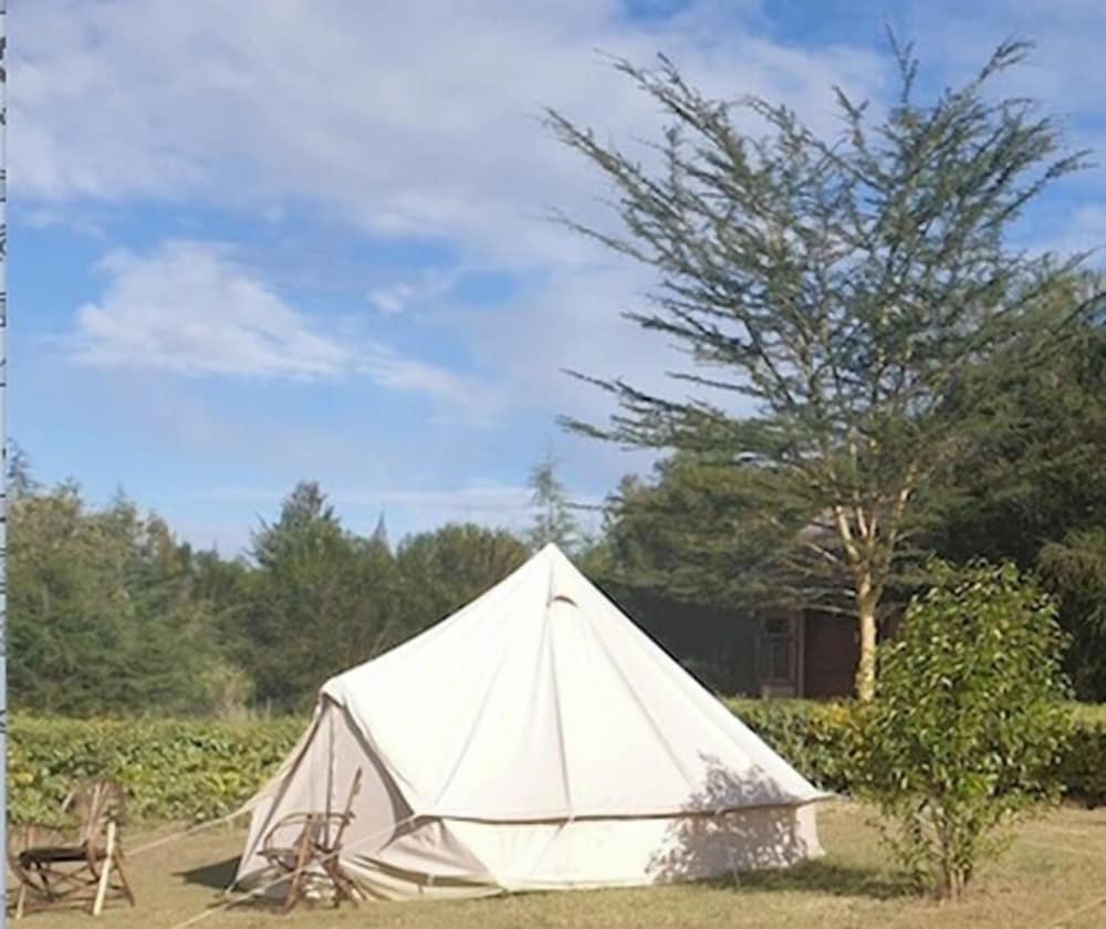 Great Circle Camping and Game Drives