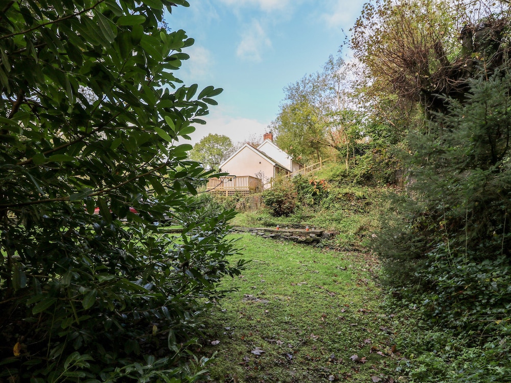 Plyg-y-rhiw