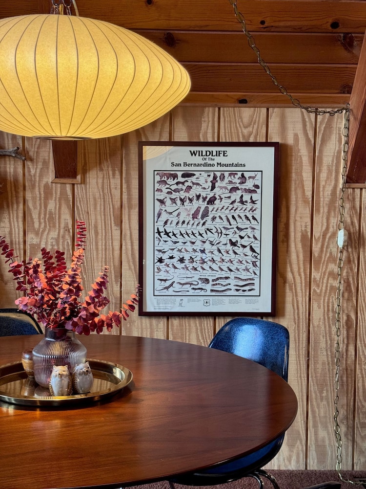 Mid-century Modern A-frame Time Capsule