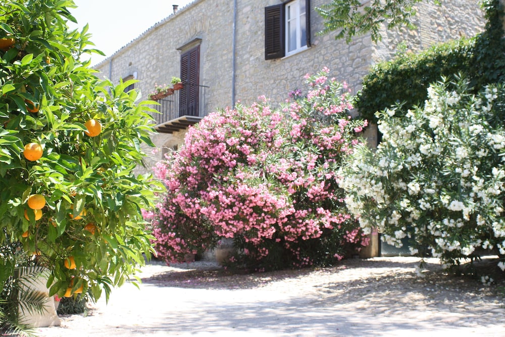 Photo 46