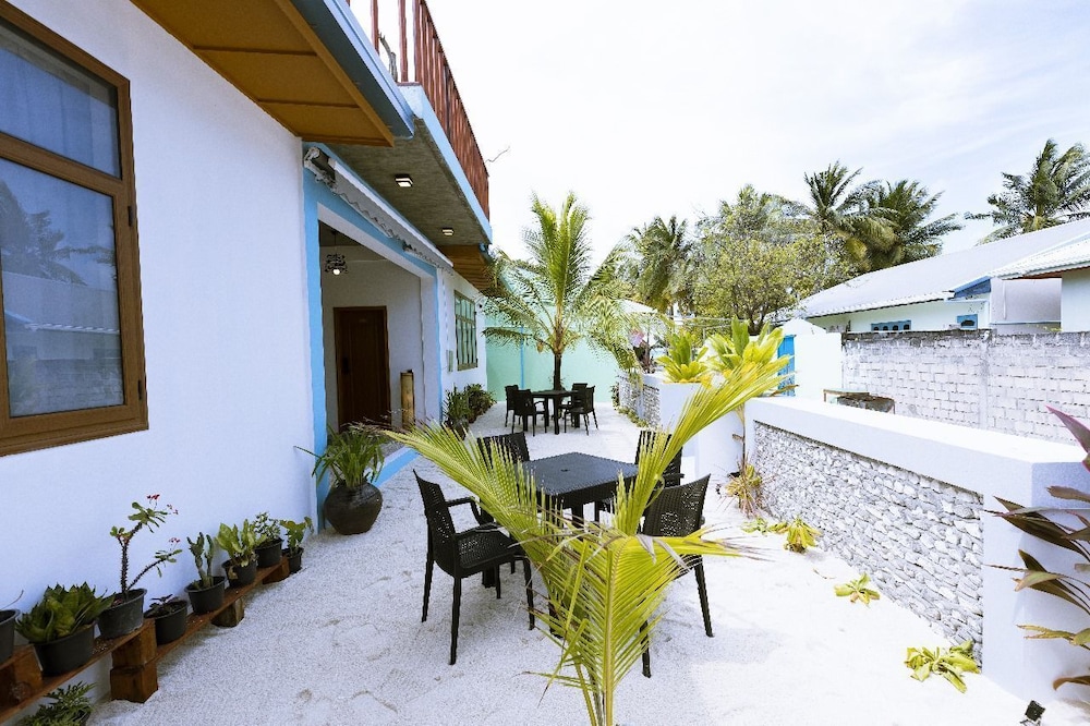 Blue Coral Vashafaru